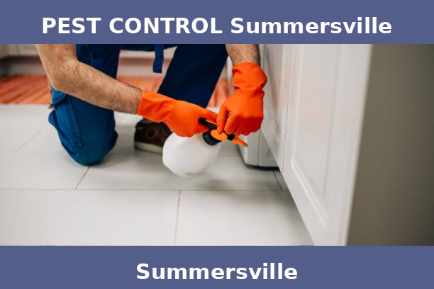 PEST CONTROL Summersville